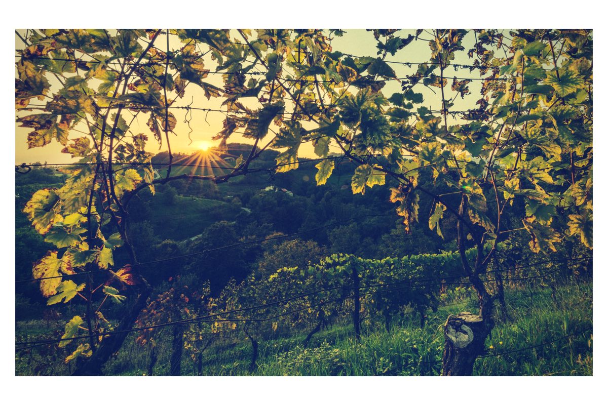 I vini vulcanici - Sommelier Wine Box