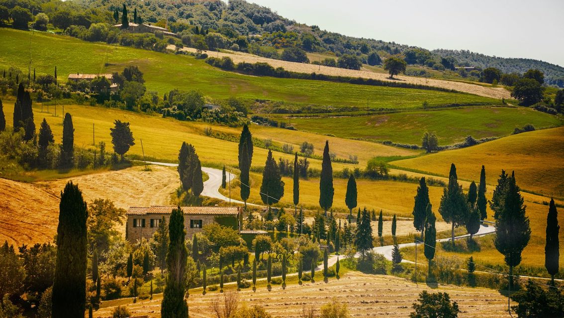 Italian Wines the complete beginner´s guide