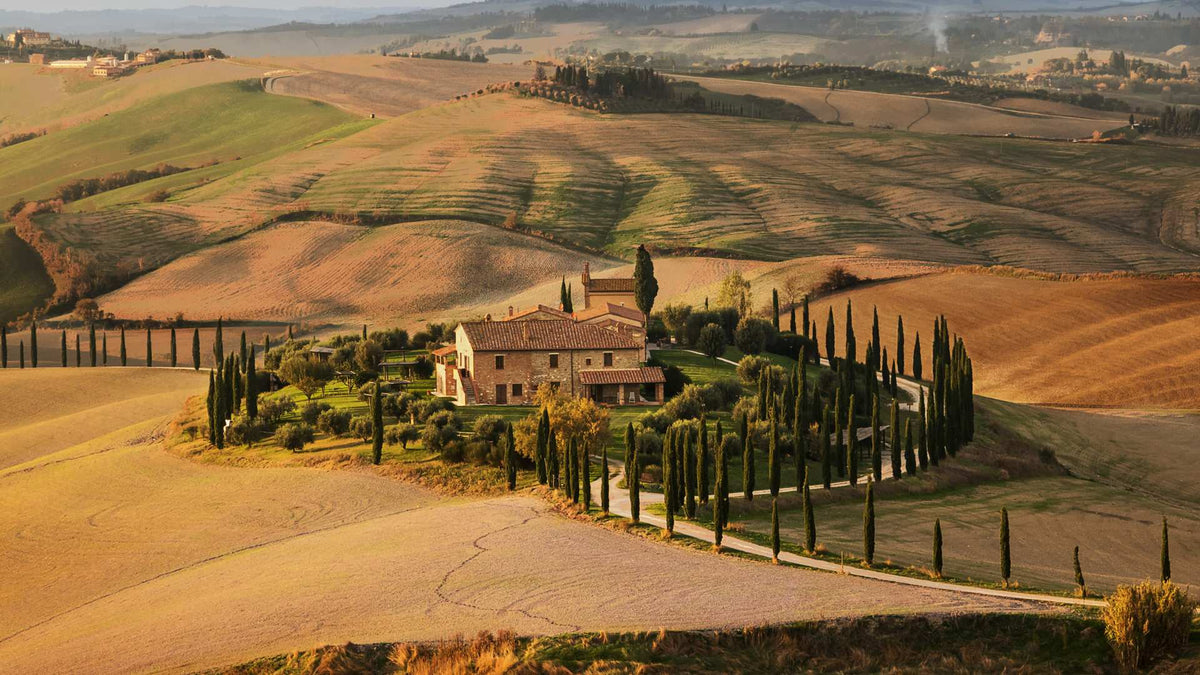 Vini Pregiati Toscani: 10 Rossi e Bianchi Unici | SommelierWineBox