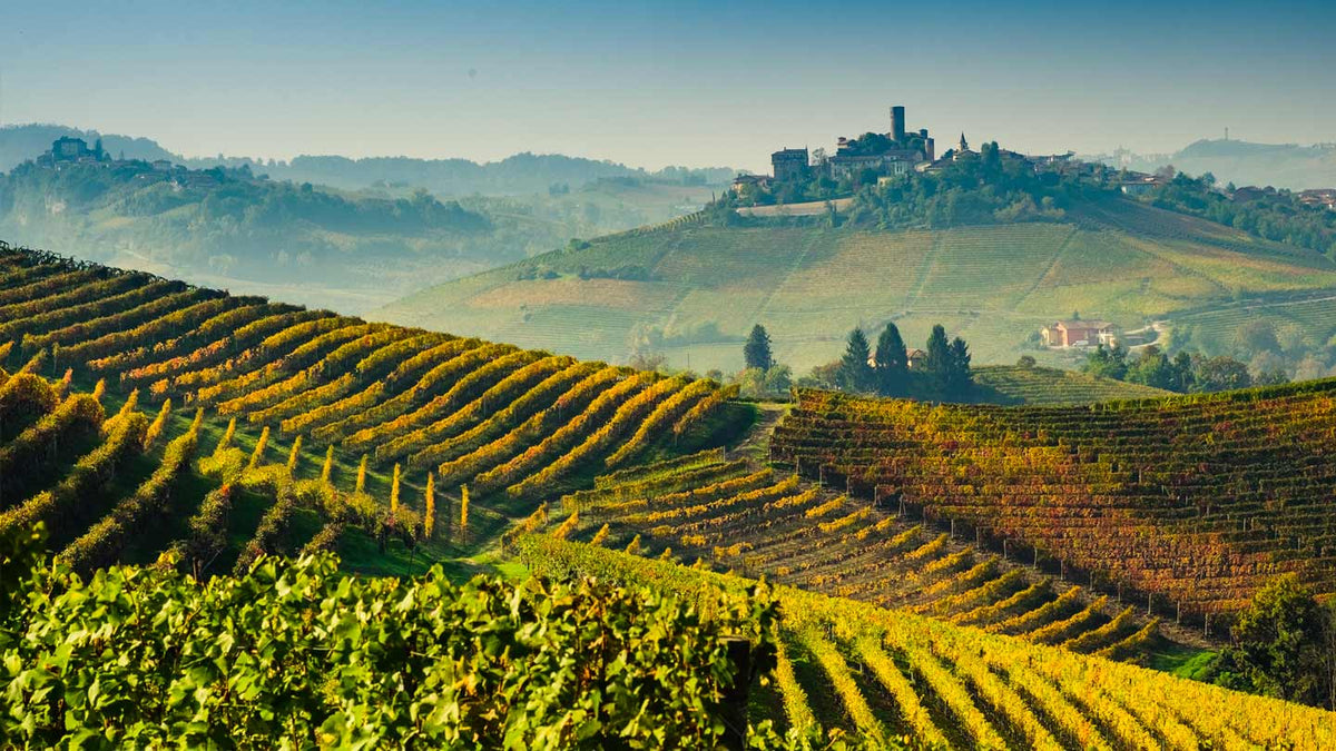 Selezione Nebbiolo - 6 vini e masterclass - Sommelier Wine Box