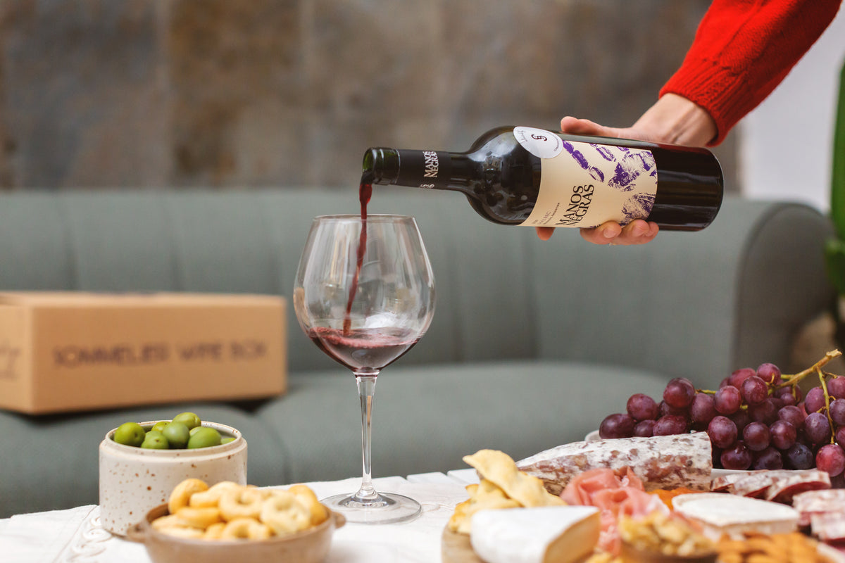 Fruity Red Wines: How and Which Ones to Choose | SommelierWineBox Guide