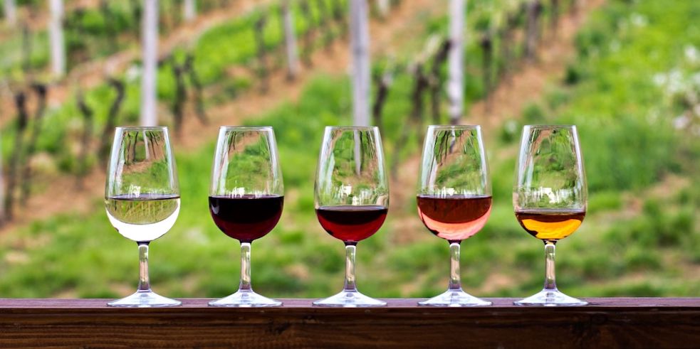 colori del vino analisi visiva
