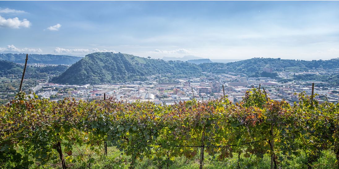 Fine and exclusive Campania wines | Sommelier Wine Box