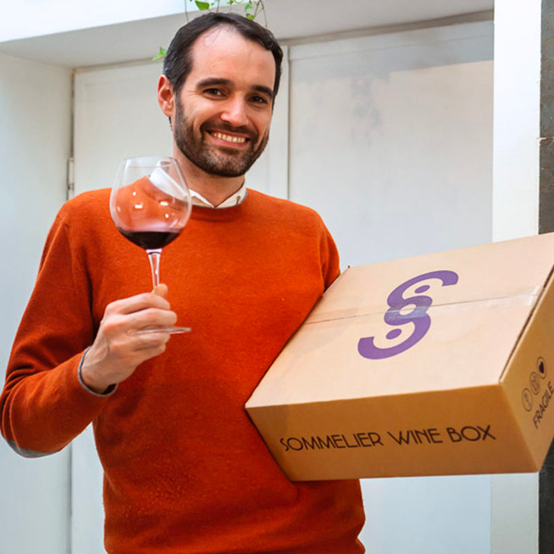Vini Rossi Fruttati: Come e Quali Scegliere | Guida SommelierWineBox
