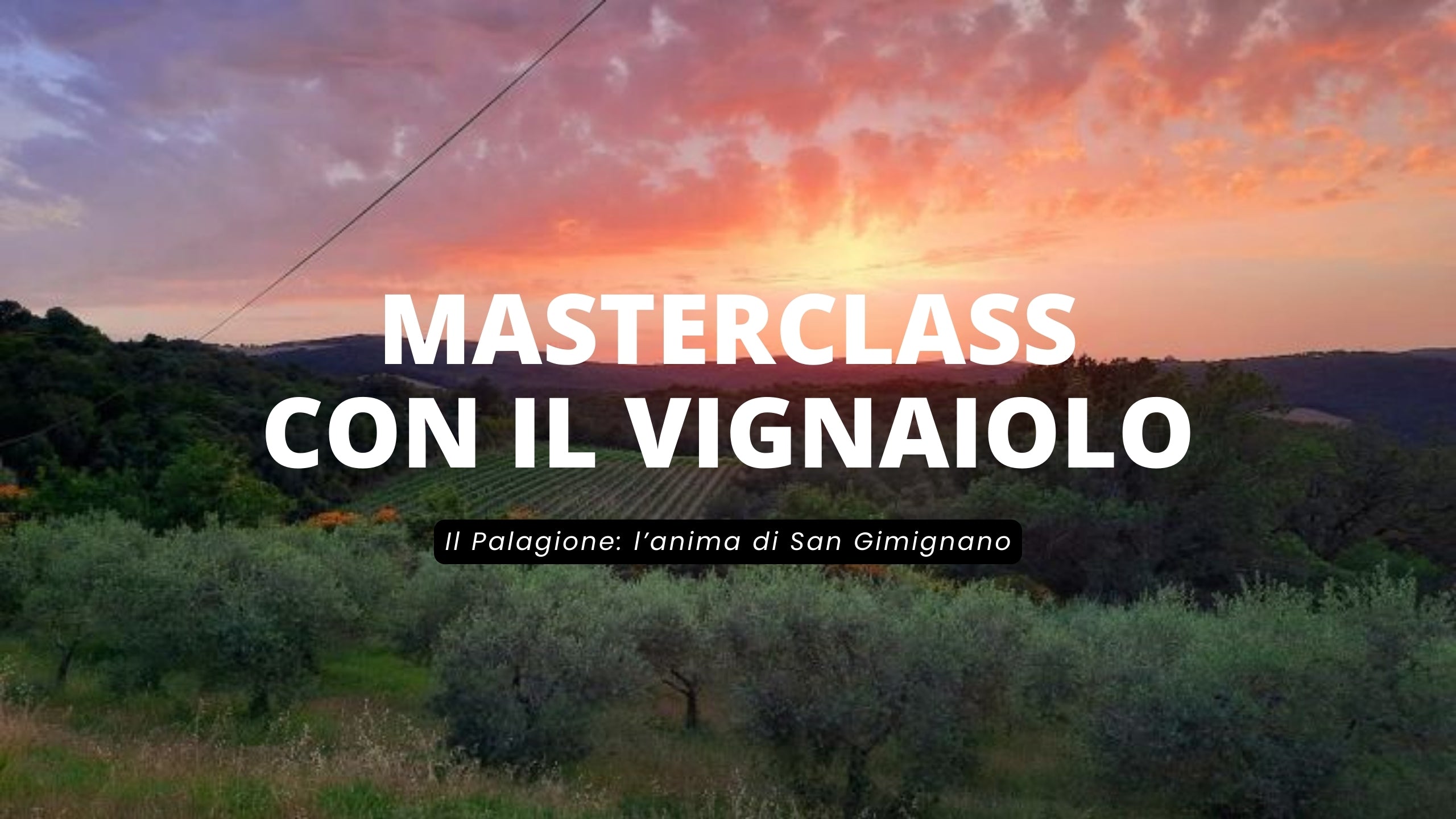 Masterclass incontro con vignaiolo - Il Palagione