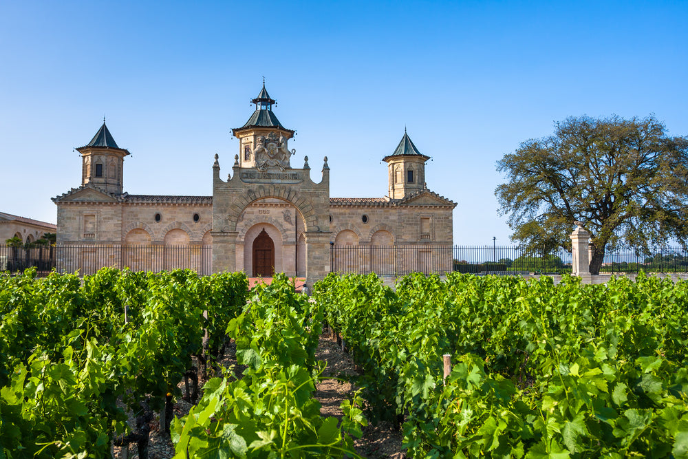 Bordeaux blend:  l’arte dell’assemblaggio