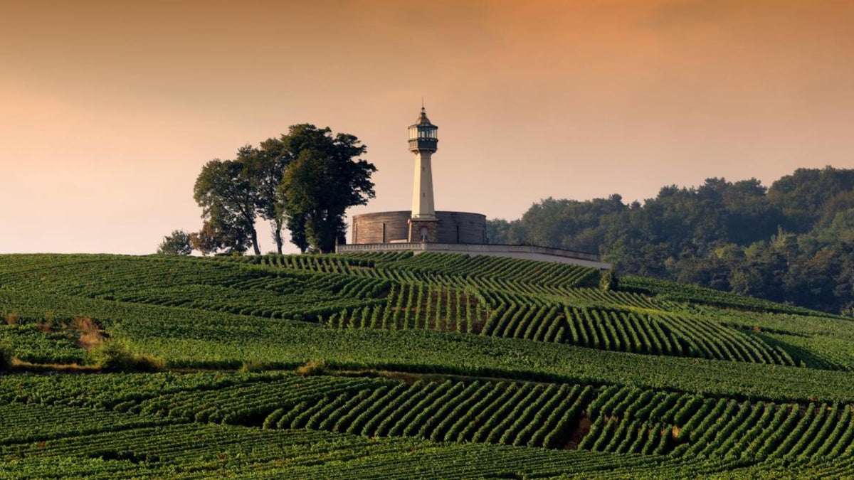 Extra Pinot Noir Zero dosage | Binon-Coquard