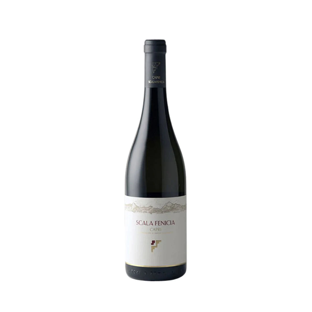 Fine and exclusive Campania wines | Sommelier Wine Box